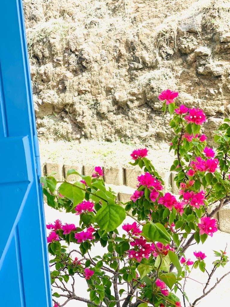 Villa Avec Vue T2 A T5 Duo De La Baie Le Robert Εξωτερικό φωτογραφία